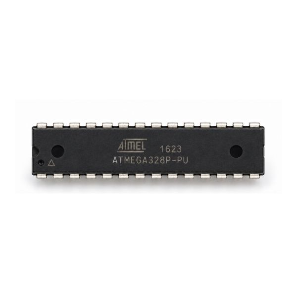 ICS498-2
