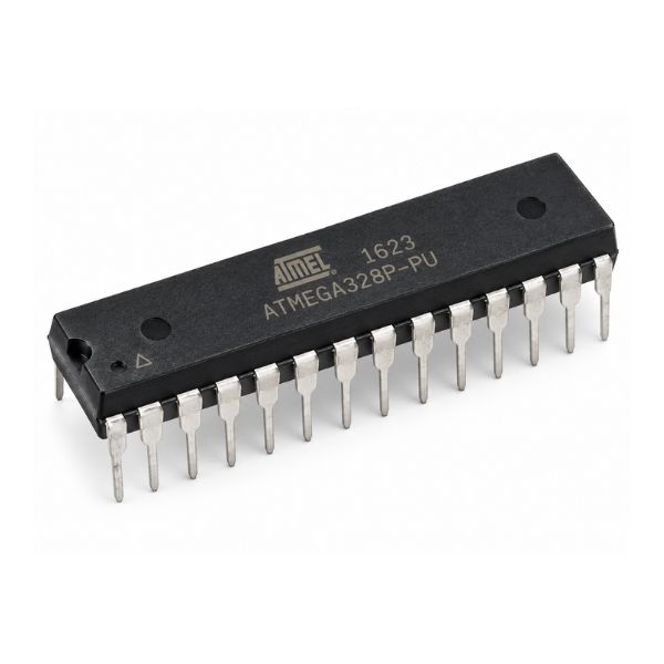 ICS498